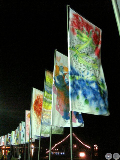  - 32 yuki hayashi bandera del bicentenario 2011 portalguarani